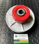 358438861_1009631000208274_669346779907691109_n48